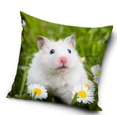 Poszewki na poduszki - Poszewka na jasiek 40x40 świnka morska - miniaturka - grafika 1