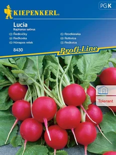 Rzodkiewka Lucia Nasiona Rzodkiewki Kiepenkerl - Nasiona i cebule - miniaturka - grafika 1