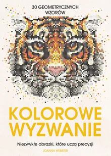 Kolorowe wyzwanie. Niezwykłe obrazki, które uczą precyzji - Joanna Webster - książka - Książki edukacyjne - miniaturka - grafika 1