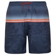 Spodenki męskie - Spodenki męskie Protest PRTELJAS beachshort PROTEST L - miniaturka - grafika 1