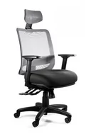 Fotele i krzesła biurowe - Fotel ergonomiczny do biura, Saga Plus, szary - miniaturka - grafika 1