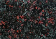 Dywany - Carpet Decor Dywan łatwoczyszczący Secret Black - miniaturka - grafika 1