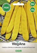 Nasiona i cebule - Fasola Zwykła Karłowa Odir 20g nasiona - WegAna - miniaturka - grafika 1