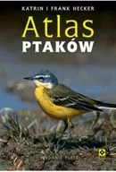 Poradniki hobbystyczne - Atlas ptaków - miniaturka - grafika 1