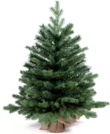 Choinki - Choinka sztuczna jodła Bernard w doniczce 90 cm - miniaturka - grafika 1