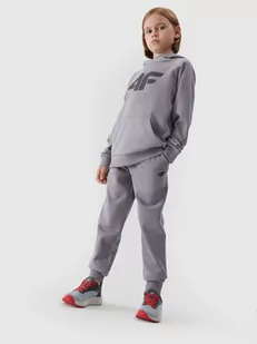 Spodnie dresowe joggery chłopięce - 4F - Odzież sportowa dziecięca - miniaturka - grafika 1