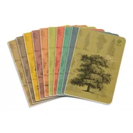Zeszyty szkolne - Zeszyt A5 By Nature - Forrest linia 80 kartek 10 - miniaturka - grafika 1