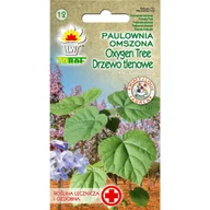 Nasiona i cebule - Paulownia Omszona Oxygen Tree - Drzewo Tlenowe Nasiona 0,1G - miniaturka - grafika 1
