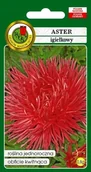 Nasiona i cebule - NASIONA ASTER IGIEŁKOWY CZERWONY OGNISTY PTAK 916 - miniaturka - grafika 1