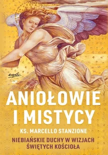 Aniołowie i mistycy. Niebiańskie duchy w wizjach świętych Kościoła - Literatura popularno naukowa dla młodzieży - miniaturka - grafika 1