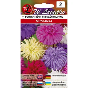 Aster chiński chryzantemowy mix nasiona tradycyjne W. Legutko - Nasiona i cebule - miniaturka - grafika 1