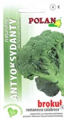 Nasiona i cebule - NASIONA Brokuł Ramoso Calabrese 1g POLAN Wczesny 115506 - miniaturka - grafika 1