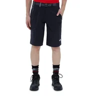 Spodnie sportowe męskie - THE NORTH FACE SPEEDLIGHT > T0A8SFKX7 - miniaturka - grafika 1