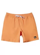 Kąpielówki dla chłopców - Quiksilver Boardshorts chłopięce - miniaturka - grafika 1