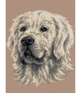 Ariadna, kanwa z nadrukiem Golden Retriever 5049 - Pasmanteria - miniaturka - grafika 1