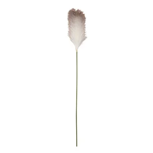 Roślina sztuczna TRAWA PAMPASOWA trawa 105 cm - Sztuczne kwiaty - miniaturka - grafika 1