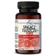 Odchudzanie i oczyszczanie - Herbapol KRAKÓW Spalacz tłuszczu Forte+ 90kaps. - miniaturka - grafika 1