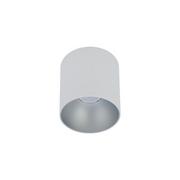 Lampy sufitowe - Nowodvorski Spot LAMPA sufitowa POINT TONE 8220 metalowa OPRAWA tuba downlight biały srebrny 8220 - miniaturka - grafika 1