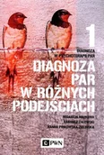 Psychologia - Wydawnictwo Naukowe PWN Diagnoza w psychoterapii par. Tom 1. Diagnoza par w różnych podejściach - miniaturka - grafika 1