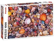 Puzzle - Piatnik Muszelki 566349 - miniaturka - grafika 1