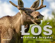 Albumy - historia - Misiukiewicz Wojciech Łoś - urodziwy brzydal - miniaturka - grafika 1