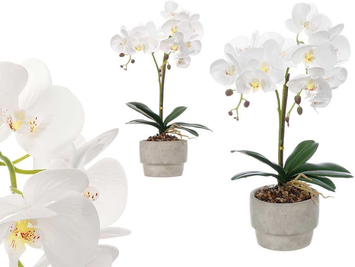 Ibergarden Sztuczny storczyk w doniczce z cementu ORCHI, 49 cm