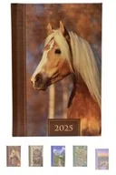 Kalendarze - Terminarz 2025 dzienny B6 Prismalux MIX - miniaturka - grafika 1