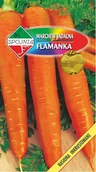 Nasiona i cebule - NASIONA Marchew Jadalna Flamanka 5g SPÓJNIA 400168 - miniaturka - grafika 1