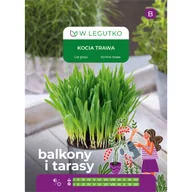 Nasiona i cebule - Kocia trawa nasiona 25g W. Legutko - miniaturka - grafika 1