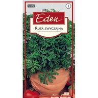 Nasiona i cebule - Ruta zwyczajna 0,2 g Eden - miniaturka - grafika 1