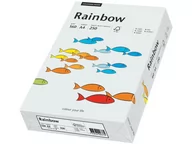 Papier do drukarek - Papyrus Papier Rainbow A4 80g jasno szary R93 88042783 - miniaturka - grafika 1