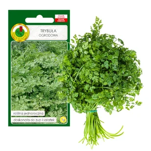 TRYBUŁA OGRODOWA COMMUN ZIOŁA NASIONA ZIÓŁ BEZ GMO - Nasiona i cebule - miniaturka - grafika 1