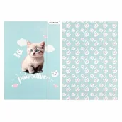 Teczki i skoroszyty - Starpak Teczka z gumką A4 Kitty 553545 - miniaturka - grafika 1