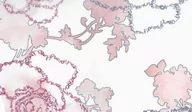 Narzuty - Blumarine Narzuta bawełniana Laila Powder Pink - miniaturka - grafika 1