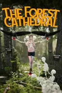 Gry PC Cyfrowe - The Forest Cathedral (PC) klucz Steam - miniaturka - grafika 1