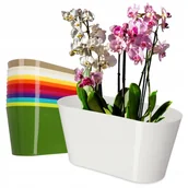 Donice - Doniczka na kwiaty owalna Pareti 27 x 12 cm, biała - miniaturka - grafika 1