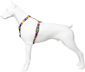 Szelki dla psów - Szelki ta�ma dla psa T�cza, 25mm/60-100cm - miniaturka - grafika 1