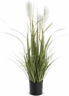 Sztuczne kwiaty - Roślina trawa pampasowa ozdobna dekoracyjna 80x45x45 126949 - miniaturka - grafika 1