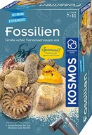 Pozostałe książki - Fossilien (Experimentierkasten) - miniaturka - grafika 1
