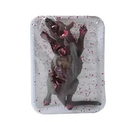 Halloween - SZCZUR NA TACY - miniaturka - grafika 1
