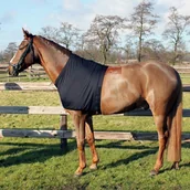 Akcesoria jeździeckie - Koszulka pod derkę - QHP - miniaturka - grafika 1