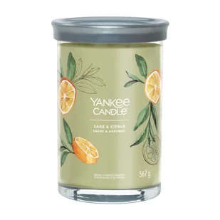Yankee Candle Świeca zapachowa Sage & Citrus tumbler duży - Świece - miniaturka - grafika 2