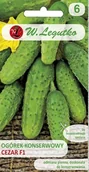 Nasiona i cebule - Legutko sp. z o.o Nasiona Ogórek gruntowy konserwowy Cezar F1, 5g - miniaturka - grafika 1