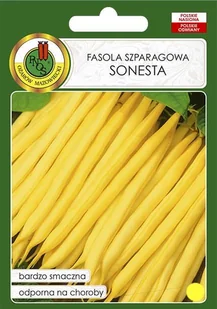 Fasola szparagowa żółta karłowa Sonesta 5 kg PNOS - Nasiona i cebule - miniaturka - grafika 1