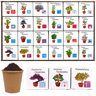 KALENDARZ ADWENTOWY Rośliny do uprawy zestaw DIY 24 pudełka dla dzieci 2023 - Ozdoby bożonarodzeniowe - miniaturka - grafika 1