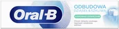 Pasty do zębów - Oral-B - Pasta do zębów Gum & Enamel Repair Extra Fresh 75ml - miniaturka - grafika 1