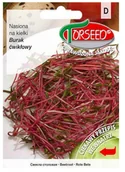 Nasiona i cebule - Burak ćwikłowy czerwony, nasiona na kiełki 10g - Torseed - miniaturka - grafika 1