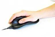 Myszki - BakkerElkhuizen Hippus Mouse USB Large Right Black BNEP210R - miniaturka - grafika 1