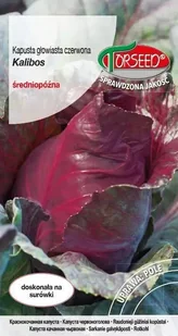 Nasiona Kapusta głowiasta czerwona Kalibos 0,5g - Torseed - Nasiona i cebule - miniaturka - grafika 1