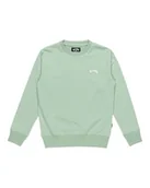 Bluzy dla chłopców - BILLABONG Bluza chłopięca Arch Cr Lt (1 szt.) - miniaturka - grafika 1